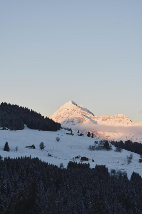 Chez Nonna - Charmant Demi-Chalet A La Montagne Notre-Dame-de-Bellecombe Exteriör bild